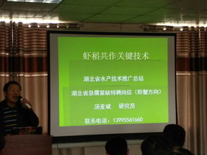 湖北黃石 水產(chǎn)技術(shù)推廣站舉辦培訓(xùn)班，助力養(yǎng)殖產(chǎn)業(yè)提質(zhì)增效